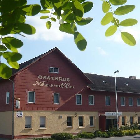 Gasthaus Forelle Thale Exteriér fotografie